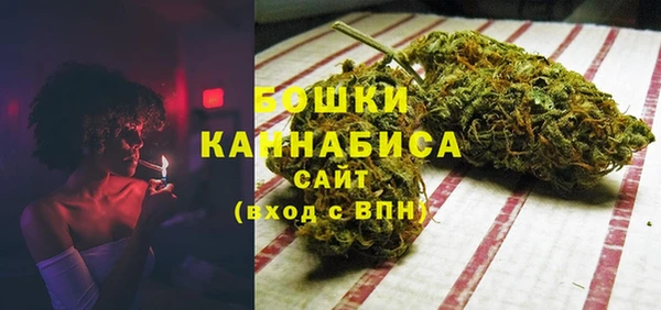 трава Абаза