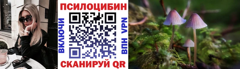 Псилоцибиновые грибы мицелий  купить наркотик  Тавда 